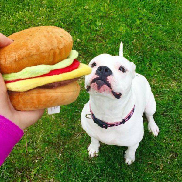 daily picdump 99 pics 26.html - 99 HD Photos | Premium Gallery 2017