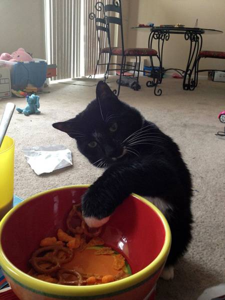 daily picdump 99 pics 26.html - 99 HD Photos | Premium Gallery 2017