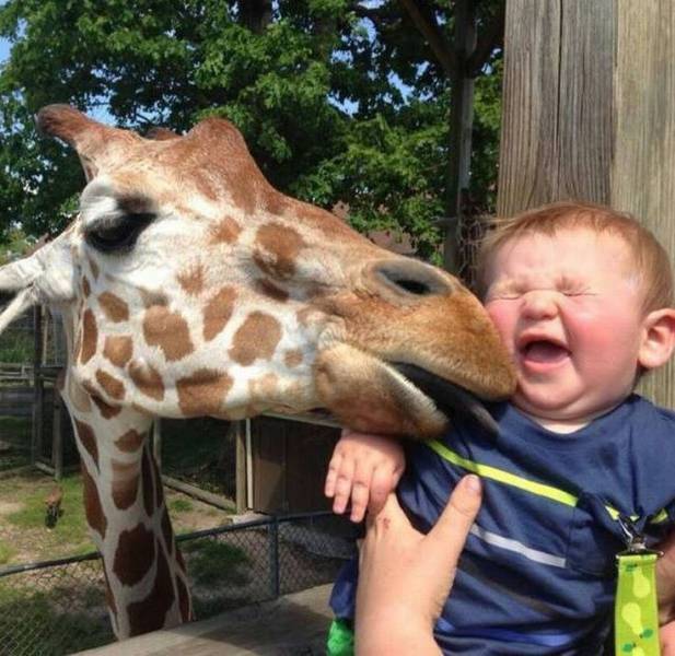 daily picdump 99 pics 26.html - 99 HD Photos | Premium Gallery 2017