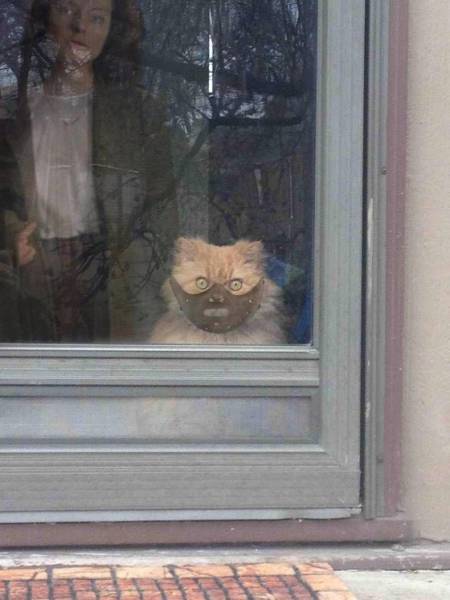 Daily Picdump