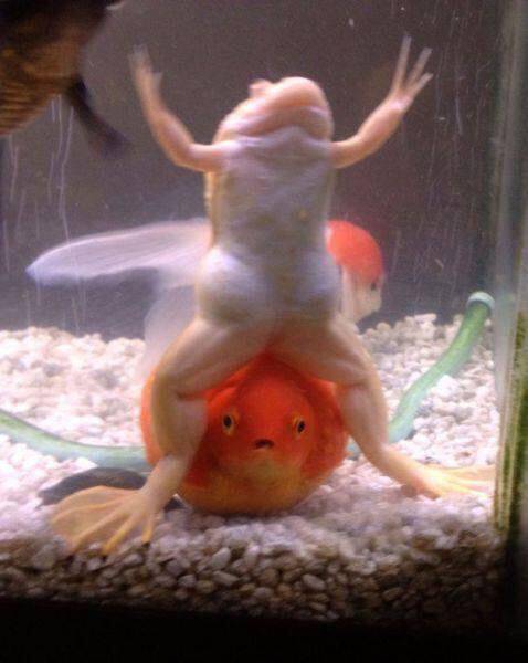 daily picdump 95 pics 29.html - 95 HD Photos | Premium Gallery 2017