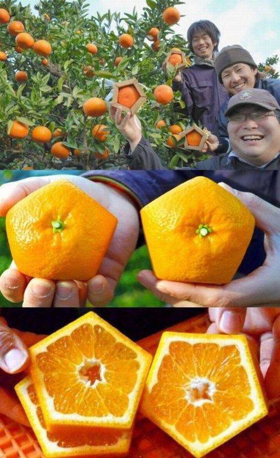 daily picdump 95 pics 29.html - 95 HD Photos | Premium Gallery 2017