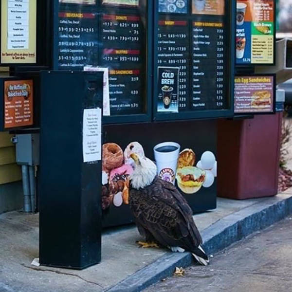 morning picdump 50 pics 12.html - 50 HD Photos | Premium Gallery 2017