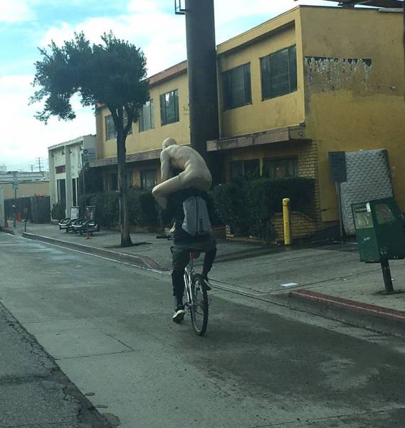 Morning Picdump