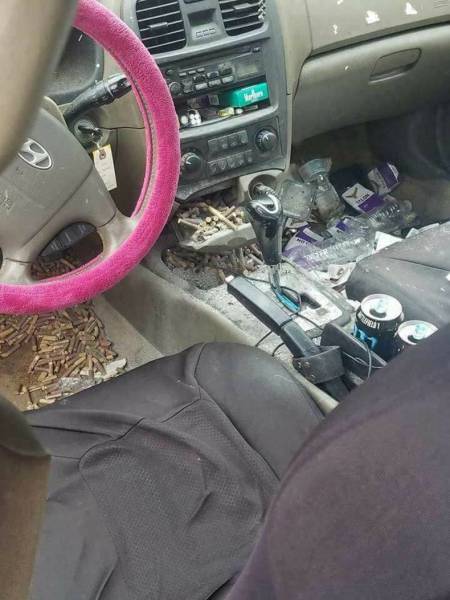 Morning Picdump