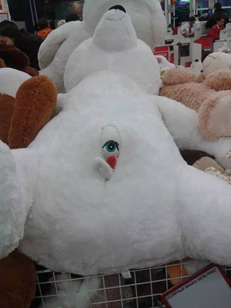 Morning Picdump