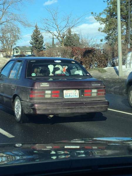 morning picdump 52 pics 16.html - 52 HD Photos | Premium Gallery 2017
