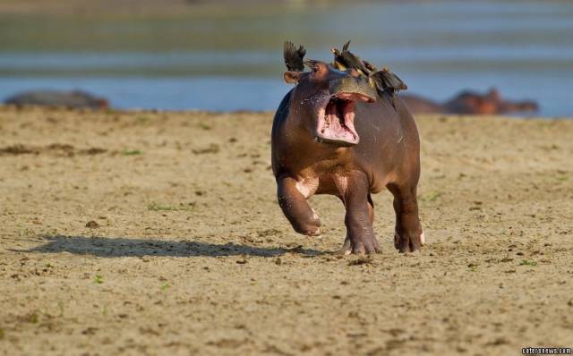 morning picdump 52 pics 16.html - 52 HD Photos | Premium Gallery 2017
