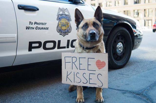 Morning Picdump