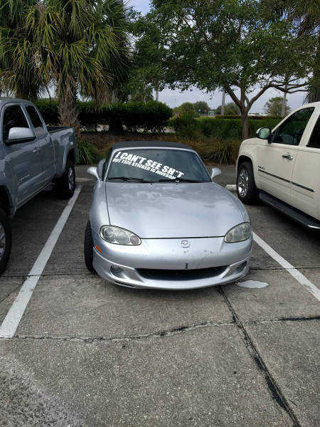 Morning Picdump