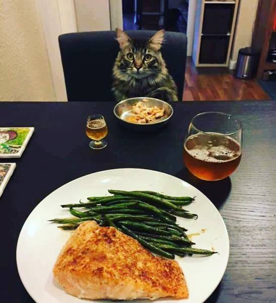 Morning Picdump
