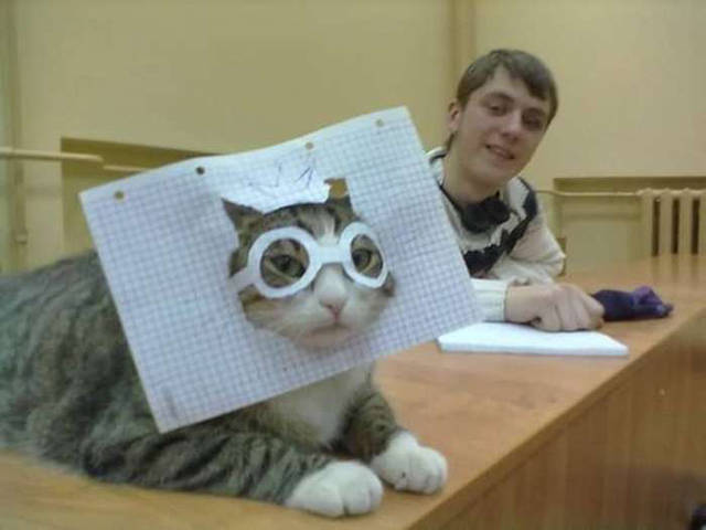 Morning Picdump
