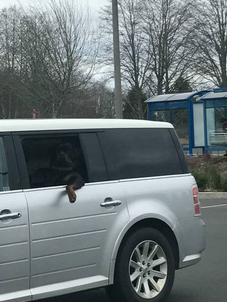 Morning Picdump