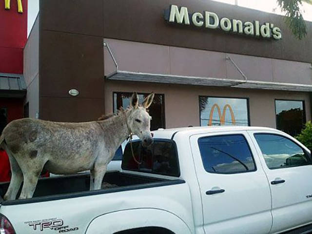 Morning Picdump