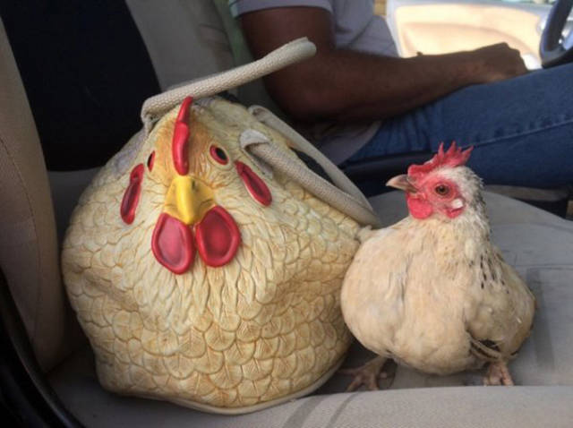 morning picdump 51 pics 9.html - 51 HD Photos | Premium Gallery 2017