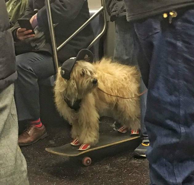 morning picdump 51 pics 9.html - 51 HD Photos | Premium Gallery 2017