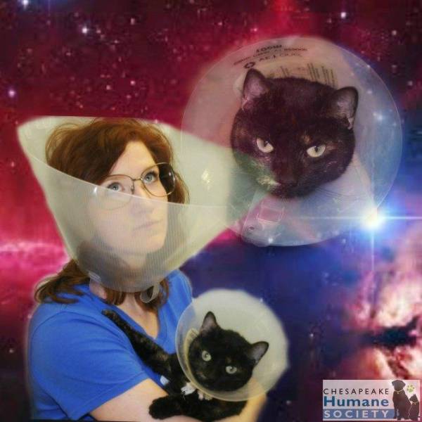 morning picdump 51 pics 9.html - 51 HD Photos | Premium Gallery 2017