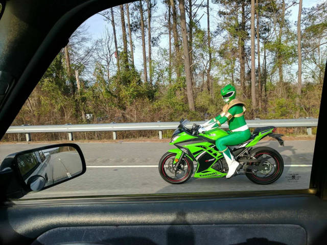 Morning Picdump