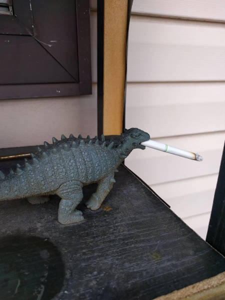 Morning Picdump