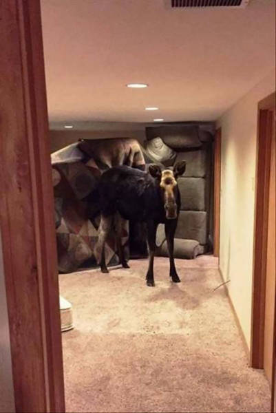 morning picdump 54 pics 21.html - 54 HD Photos | Premium Gallery 2017
