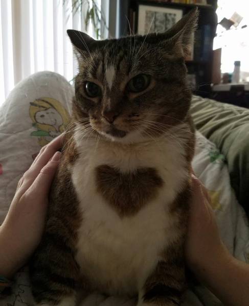 Morning Picdump