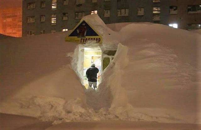 daily picdump 102 pics 8.html - 102 HD Photos | Premium Gallery 2017