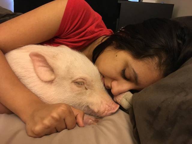 daily picdump 102 pics 8.html - 102 HD Photos | Premium Gallery 2017