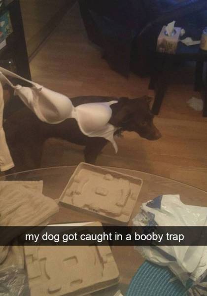 Morning Picdump