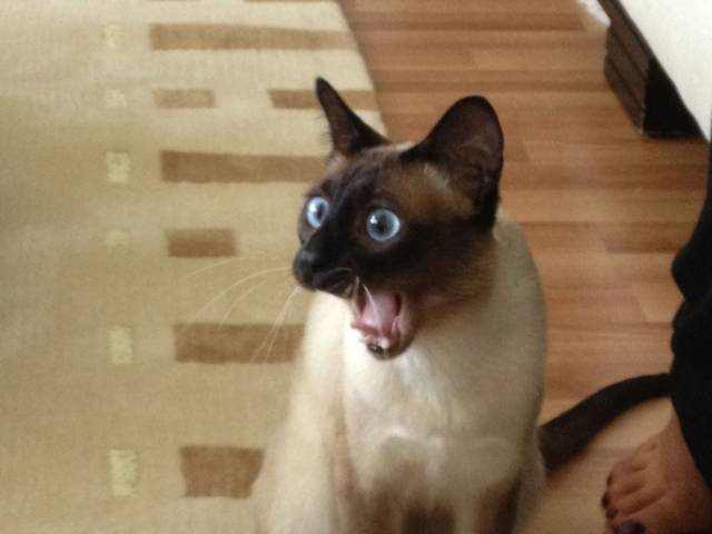 daily picdump 97 pics 14.html - 97 HD Photos | Premium Gallery 2017