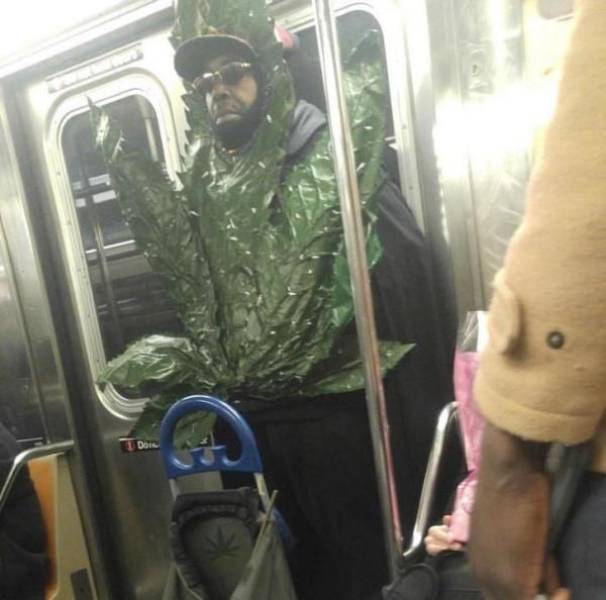 daily picdump 97 pics 14.html - 97 HD Photos | Premium Gallery 2017