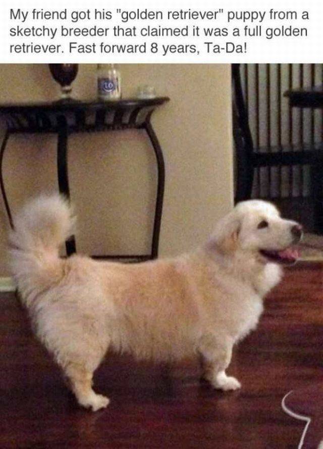 daily picdump 97 pics 14.html - 97 HD Photos | Premium Gallery 2017
