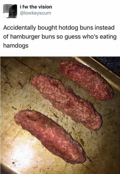 Daily Picdump