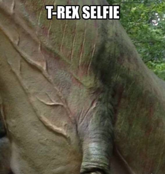 Funny Picdump