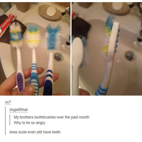 funny picdump 51 pics 1.html - 51 HD Photos | Premium Gallery 2017