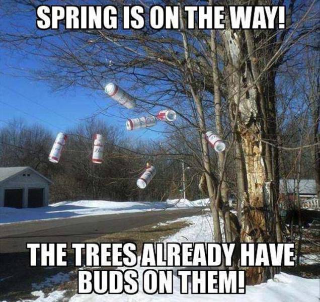 funny picdump 51 pics 1.html - 51 HD Photos | Premium Gallery 2017