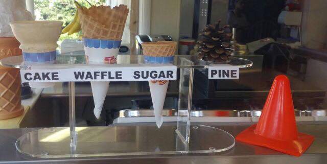 funny picdump 51 pics 1.html - 51 HD Photos | Premium Gallery 2017