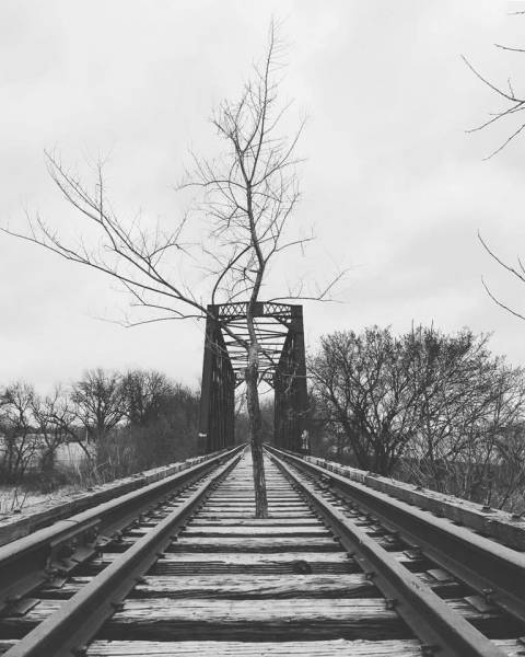 daily picdump 103 pics 52.html - 103 HD Photos | Premium Gallery 2017