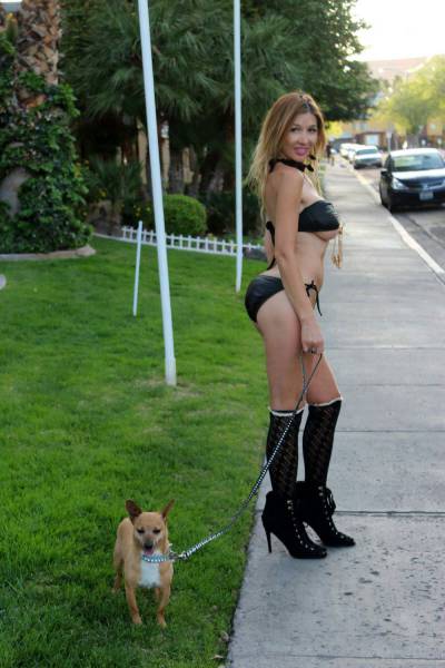 grownup corner 63 pics 8 gifs 32.html - 63 HD GIF | Premium Gallery 2017