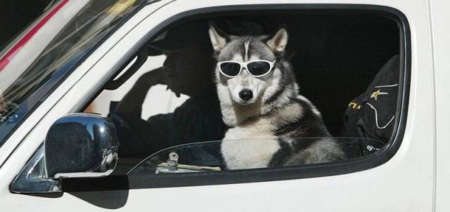 Daily Picdump