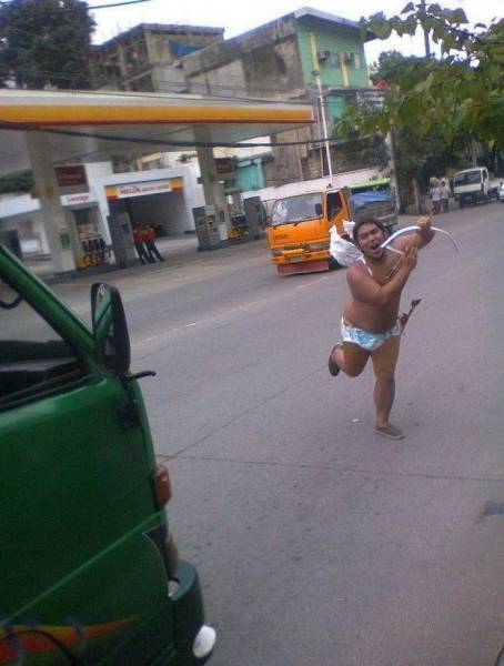 Daily Picdump