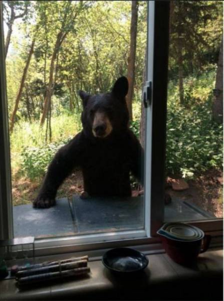 daily picdump 100 pics 4.html - 100 HD Photos | Premium Gallery 2017