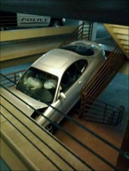 daily picdump 100 pics 4.html - 100 HD Photos | Premium Gallery 2017