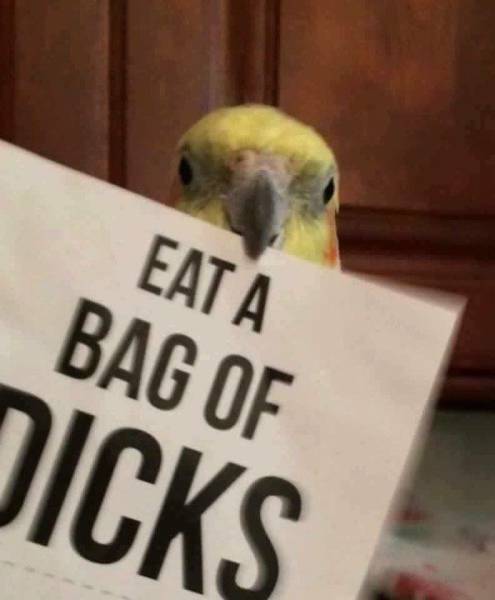 daily picdump 100 pics 4.html - 100 HD Photos | Premium Gallery 2017