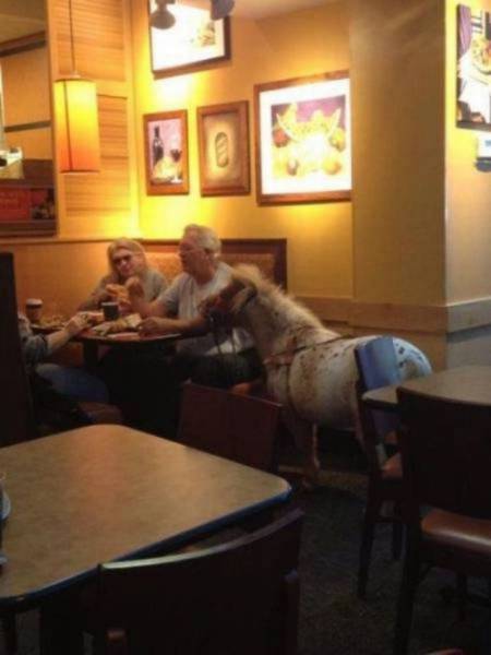 daily picdump 97 pics 12.html - 97 HD Photos | Premium Gallery 2017
