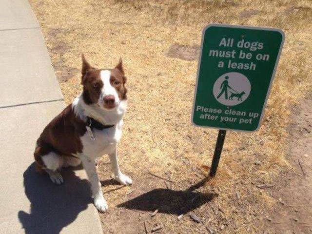 daily picdump 97 pics 12.html - 97 HD Photos | Premium Gallery 2017