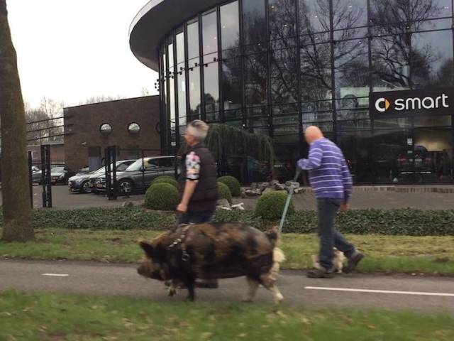 daily picdump 97 pics 12.html - 97 HD Photos | Premium Gallery 2017