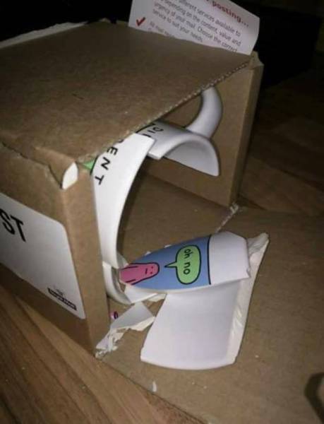 Morning Picdump