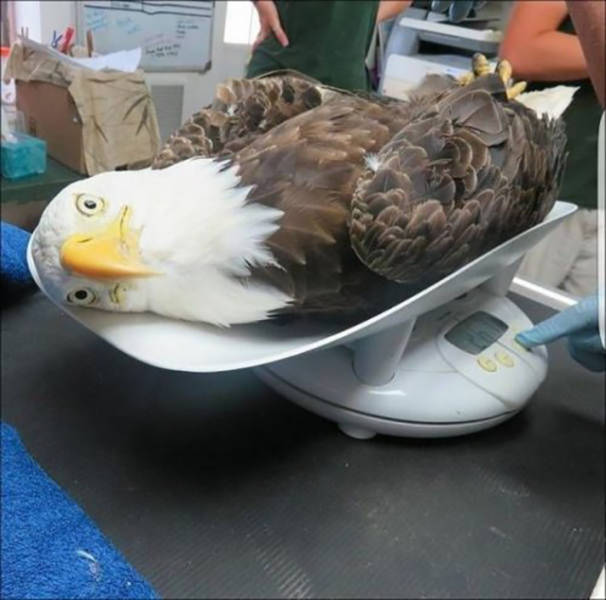 Morning Picdump