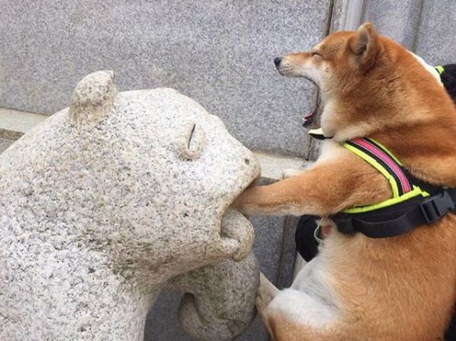 Morning Picdump