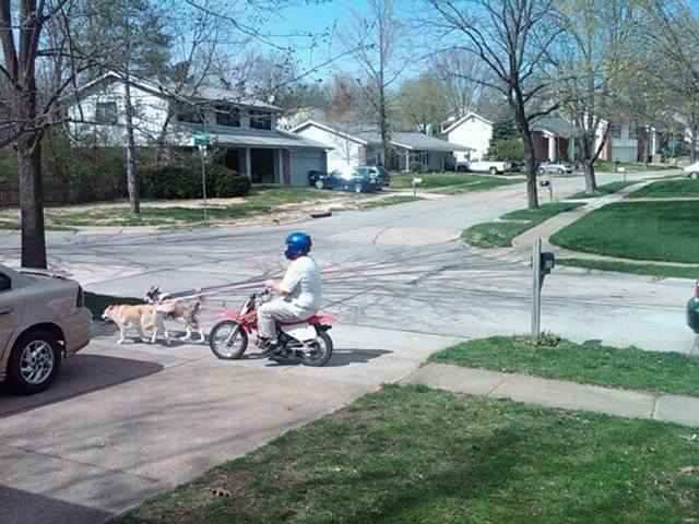morning picdump 55 pics 22.html - 55 HD Photos | Premium Gallery 2017